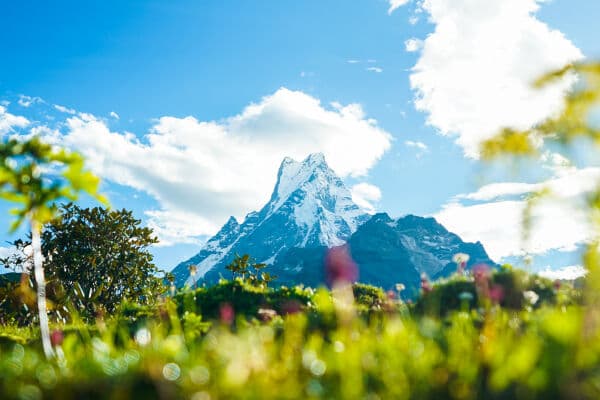 Mardi Himal Short Trek Notes
