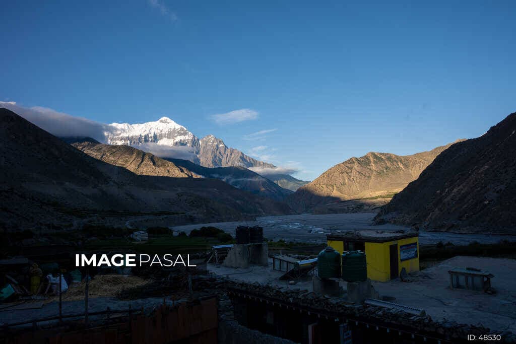 Mustang Road Trip Guide