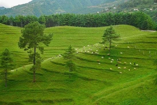 Chitlang & Kulekhani Tour Package