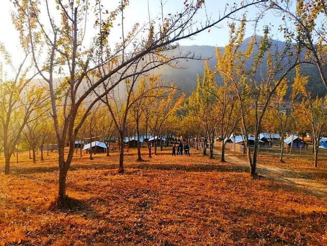 Chitlang & Kulekhani Tour Package